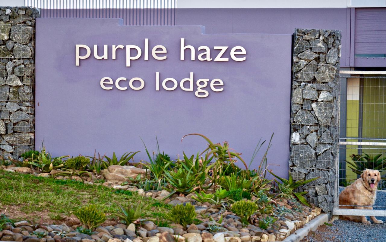 Purple Haze Eco Lodge 钦查 外观 照片